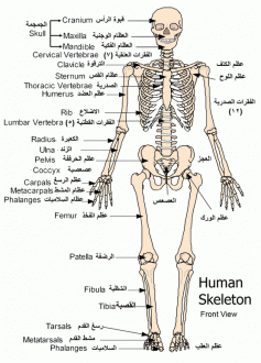 اضغط على الصورة لعرض أكبر. 

الإسم:	skb.gif 
مشاهدات:	1 
الحجم:	95.1 كيلوبايت 
الهوية:	171975