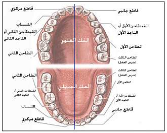 اضغط على الصورة لعرض أكبر. 

الإسم:	asnan.jpg 
مشاهدات:	1 
الحجم:	159.6 كيلوبايت 
الهوية:	171976