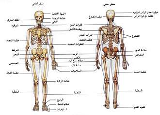 اضغط على الصورة لعرض أكبر. 

الإسم:	3.jpg 
مشاهدات:	1 
الحجم:	112.8 كيلوبايت 
الهوية:	171978