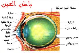 اضغط على الصورة لعرض أكبر. 

الإسم:	3ayn.jpg 
مشاهدات:	1 
الحجم:	12.0 كيلوبايت 
الهوية:	171980