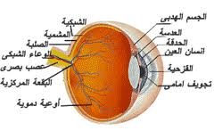 اضغط على الصورة لعرض أكبر. 

الإسم:	3ayn2.jpg 
مشاهدات:	1 
الحجم:	6.8 كيلوبايت 
الهوية:	171981