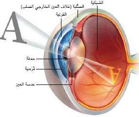 اضغط على الصورة لعرض أكبر. 

الإسم:	3ayn 3.jpg 
مشاهدات:	1 
الحجم:	10.6 كيلوبايت 
الهوية:	171982
