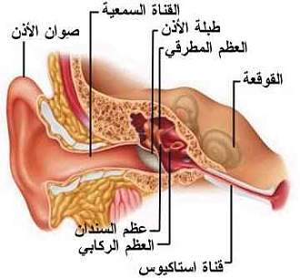 اضغط على الصورة لعرض أكبر. 

الإسم:	ear3a.jpg 
مشاهدات:	1 
الحجم:	12.9 كيلوبايت 
الهوية:	172051