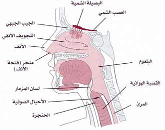 اضغط على الصورة لعرض أكبر. 

الإسم:	anf.jpg 
مشاهدات:	1 
الحجم:	106.0 كيلوبايت 
الهوية:	172053