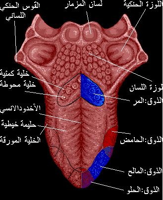 اضغط على الصورة لعرض أكبر. 

الإسم:	2051.JPG 
مشاهدات:	1 
الحجم:	35.2 كيلوبايت 
الهوية:	172054