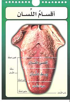 اضغط على الصورة لعرض أكبر. 

الإسم:	lisan.jpg 
مشاهدات:	1 
الحجم:	302.1 كيلوبايت 
الهوية:	172055
