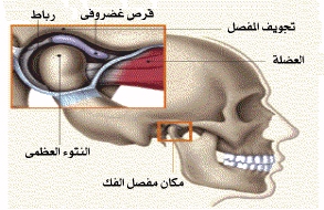 اضغط على الصورة لعرض أكبر. 

الإسم:	02.jpg 
مشاهدات:	1 
الحجم:	60.2 كيلوبايت 
الهوية:	172108