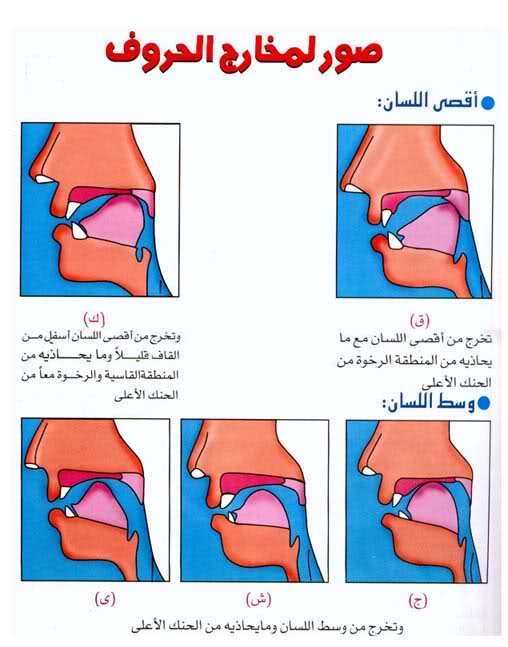 اضغط على الصورة لعرض أكبر. 

الإسم:	مخارج الحروف.jpg 
مشاهدات:	1 
الحجم:	41.4 كيلوبايت 
الهوية:	173857