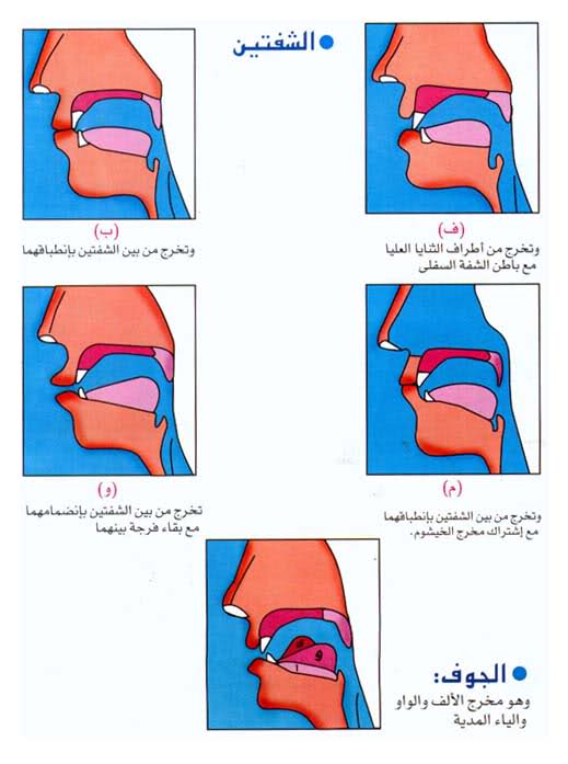 اضغط على الصورة لعرض أكبر. 

الإسم:	2.jpg 
مشاهدات:	1 
الحجم:	39.5 كيلوبايت 
الهوية:	173859