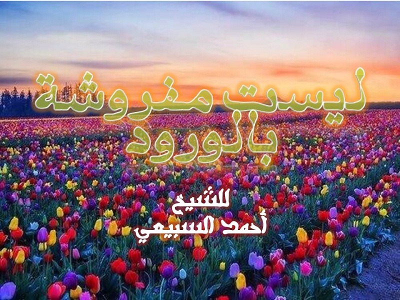 اضغط على الصورة لعرض أكبر. 

الإسم:	ليست مفروشة بالورود.jpg 
مشاهدات:	1 
الحجم:	211.7 كيلوبايت 
الهوية:	200470
