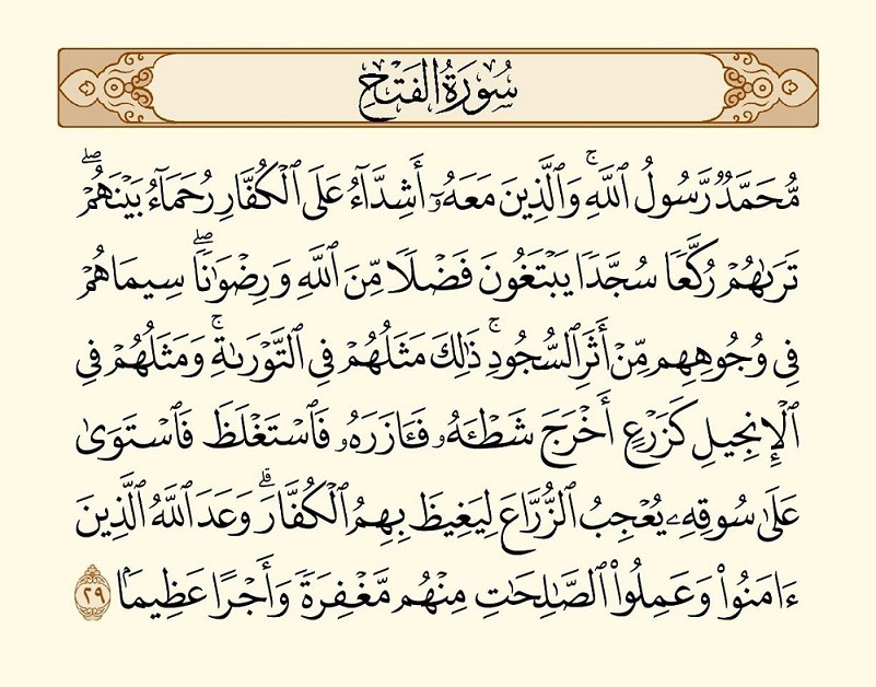 اضغط على الصورة لعرض أكبر.   الإسم:	WhatsApp Image 2022-07-09 at 9.25.09 AM.jpg  مشاهدات:	0  الحجم:	139.8 كيلوبايت  الهوية:	251215