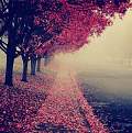 اضغط على الصورة لعرض أكبر. 

الإسم:	580730_513942875311183_1073880848_n.jpg 
مشاهدات:	386 
الحجم:	62.9 كيلوبايت 
الهوية:	171277