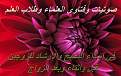 اضغط على الصورة لعرض أكبر. 

الإسم:	img5.jpg 
مشاهدات:	4269 
الحجم:	153.3 كيلوبايت 
الهوية:	195023