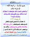اضغط على الصورة لعرض أكبر. 

الإسم:	291.jpg 
مشاهدات:	5249 
الحجم:	143.3 كيلوبايت 
الهوية:	199240