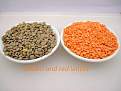 اضغط على الصورة لعرض أكبر. 

الإسم:	brown-and-red-lentils.jpg 
مشاهدات:	2833 
الحجم:	76.0 كيلوبايت 
الهوية:	200038