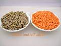 اضغط على الصورة لعرض أكبر. 

الإسم:	brown-and-red-lentils.jpg 
مشاهدات:	2920 
الحجم:	76.0 كيلوبايت 
الهوية:	200038