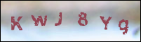 صورة التسجيل
