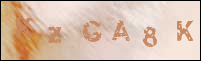 صورة التسجيل
