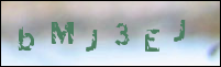 صورة التسجيل