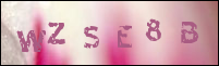 صورة التسجيل