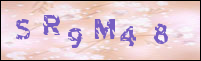 صورة التسجيل