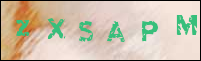 صورة التسجيل
