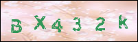 صورة التسجيل