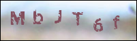 صورة التسجيل