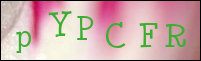 صورة التسجيل