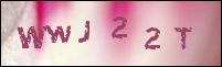 صورة التسجيل