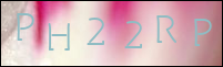 صورة التسجيل