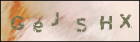 صورة التسجيل